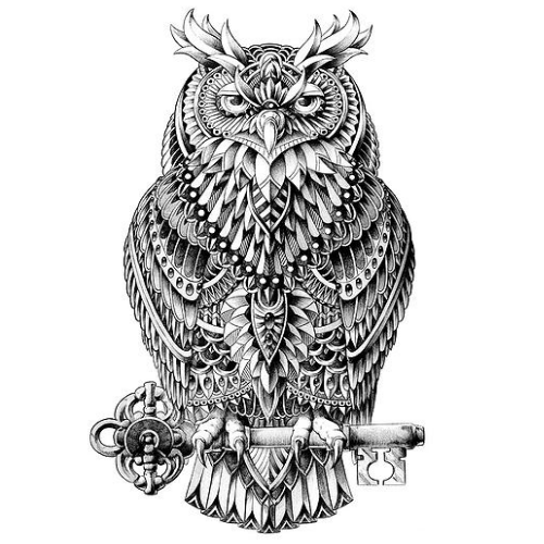 unique coloring pages owl designs - photo #30